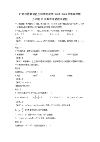 广西壮族自治区玉林市北流市2024-2025学年九年级上学期11月期中考试数学试卷（解析版）