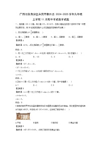 广西壮族自治区来宾市象州县2024-2025学年九年级上学期11月期中考试数学试卷（解析版）