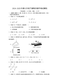 2024-2025年度七年级下册数学期中考试模拟