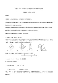广东省深圳市2025届九年级上学期中考适应性考试模拟考数学试卷(含解析)