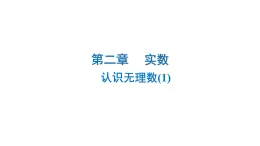 2.1　認(rèn)識無理數(shù)++課件+2024-2025學(xué)年北師大版數(shù)學(xué)八年級上冊