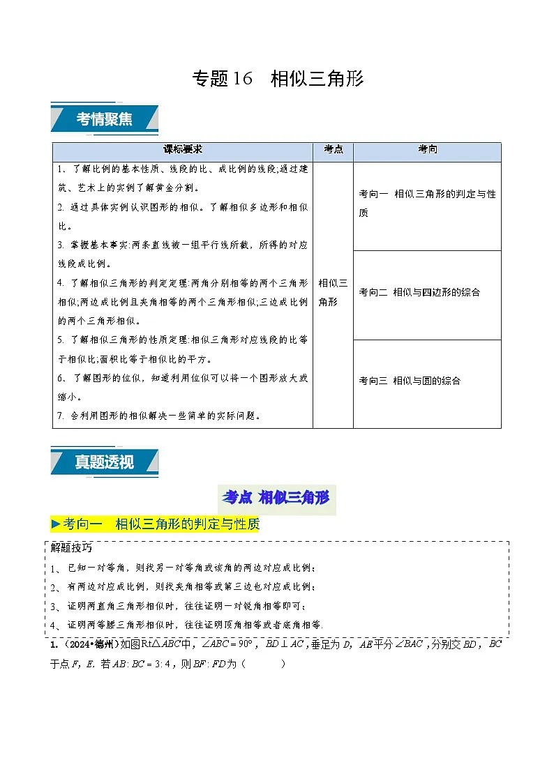 专题16 相似三角形(原卷版)第1页