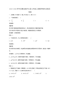 2023-2024学年安徽合肥庐江县七年级上册数学期末试卷及答案