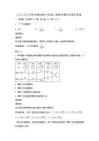 2023-2024学年安徽合肥七年级上册数学期末试卷及答案