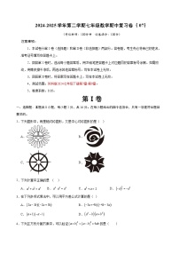 2024-2025学年苏科版（2024）第二学期七年级数学期中复习卷（07）（含答案）
