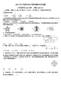2025年九年级下学期数学模拟考试试题以及答案(适用北师大版)