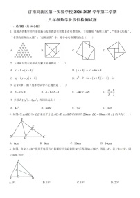 2025年3月濟(jì)南市高新區(qū)第一實(shí)驗(yàn)數(shù)學(xué)八年級(jí)下月考試題（含答案）
