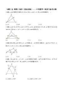 中考数学一轮复习备考专题15：特殊三角形（拔高训练）