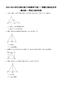 北师大版（2024）八年级下册等腰三角形综合训练题
