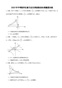 2025年中考数学总复习反比例函数综合类题型训练