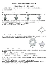 2025年九年级下学期数学模拟考试试题以及答案(适用北师大版)