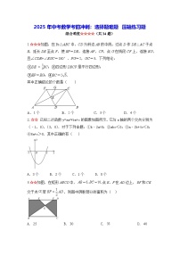 2025年中考数学考前冲刺：选择题难题 压轴练习题（含答案解析）