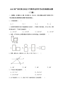 2025屆廣西壯族自治區(qū)中考數(shù)學(xué)適應(yīng)性考試仿真模擬試題合集2套（含解析）