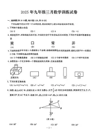 湖北武汉硚口区2025年九年级第一次下学期3月模拟考试数学试题+答案