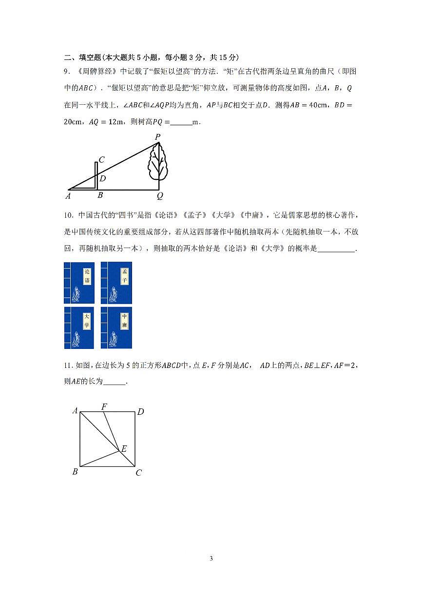 2024-2025学年深圳市质心中考适应性考试第一次模拟考数学试卷第3页