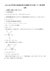 精品解析：四川省成都市青羊区成都市树德中学2023-2024学年七年级下学期期中数学试题（原卷版）