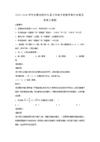 2023-2024学年安徽合肥庐江县七年级下册数学期中试卷及答案人教版