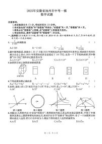 2025年安徽省池州市中考一模数学试卷（试题+解析）