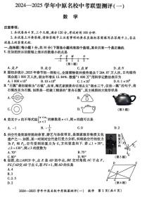 2024-2025年中原名校大联考（一）九年级下学期3月数学试题+答案