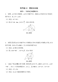 43 圆的综合题-2025版数学中考二轮总复习微专题讲义