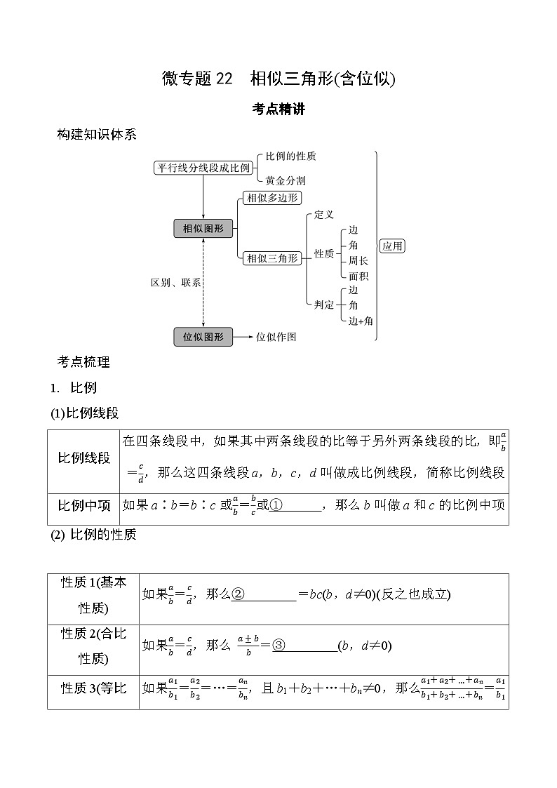 22 相似三角形(含位似)-2025版数学中考二轮总复习微专题讲义第1页