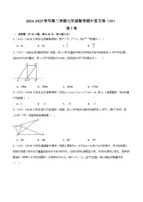 2024-2025学年苏科版（2024）第二学期七年级数学期中复习卷（19） (含答案）