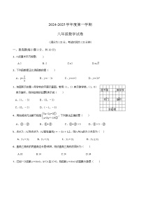广东省茂名市高州市2024-2025学年八年级上学期12月月考数学试卷(含答案)