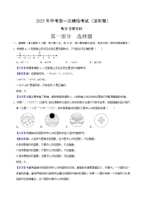 2025年中考第一次模拟考试卷：数学（深圳卷）（解析版）