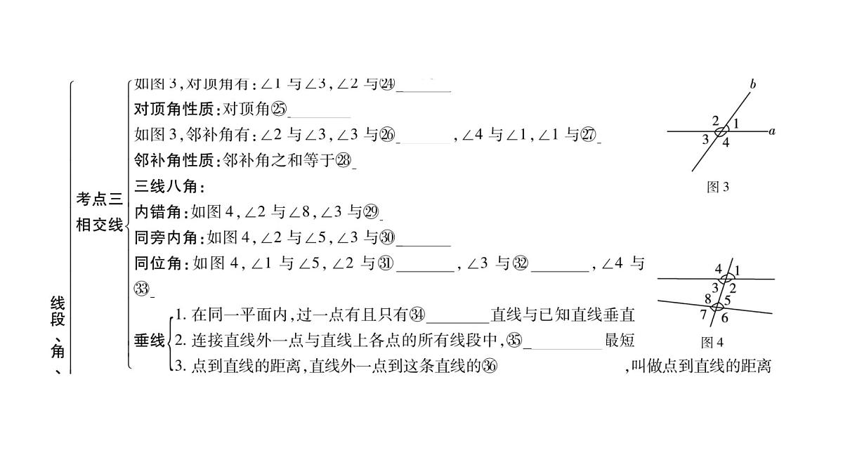 2025决胜中考河南数学一轮复习第13讲 线段、角、相交线与平行线课件第6页