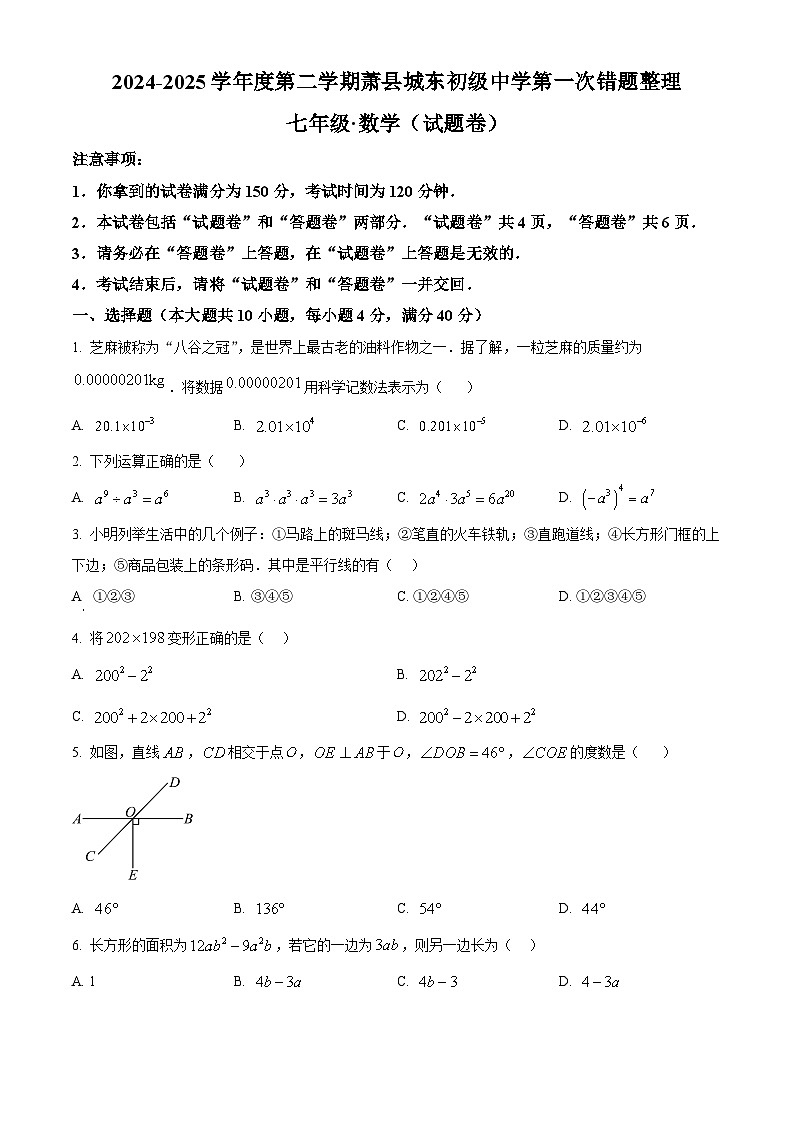 安徽省宿州市萧县城东初级中学2024-2025学年七年级下学期3月月考数学试题(原卷版+解析版)第1页