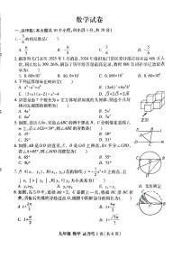 2025年洛阳市瀍河区九年级中考一模数学试卷及答案