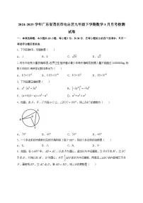 2024-2025学年广东省茂名市电白区九年级下册数学3月月考检测试卷（附答案）