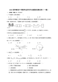 2025届河南省中考数学适应性考试模拟检测试卷(一模)附答案