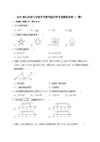 2025届山西省九年级中考数学适应性考试模拟试卷（一模）附答案