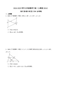 2024-2025学年人教版七年级数学下册期中专项复习04 证明题卷(含解析)