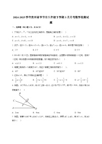 2024-2025学年贵州省毕节市八年级下册3月月考数学检测试题(附答案)