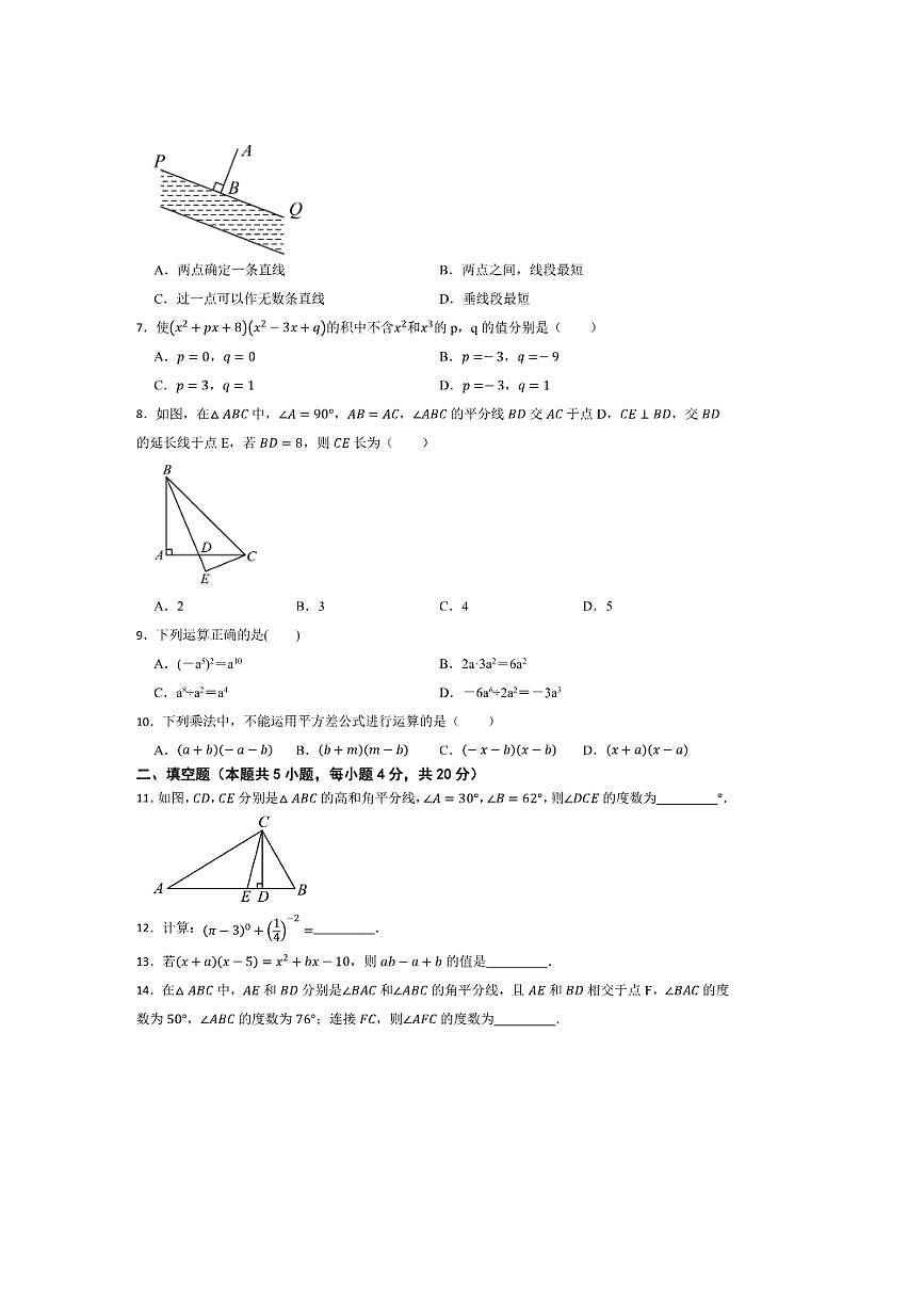 2024~2025学年七年级下数学(北师大版2024)期中试卷(答案+解析)第2页