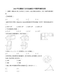 2025年安徽省六安市金寨县中考数学调研试卷（含答案）