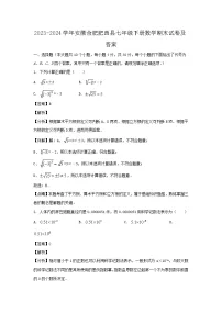2023-2024学年安徽合肥肥西县七年级下册数学期末试卷及答案