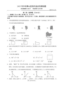 湖北武汉青山区2025年四月九年级下学期中考适应性模拟题数学试题+答案