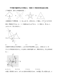 中考数学高频考点专项练习：专题16 图形的变化综合训练及答案