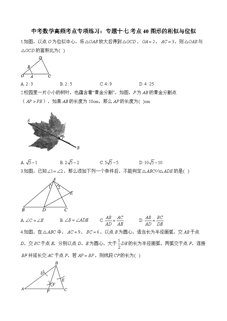 中考数学高频考点专项练习:专题17 考点40 图形的相似与位似 (3)及答案第1页