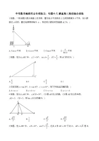中考数学高频考点专项练习:专题18 解直角三角形综合训练 (2)及答案