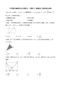 中考数学高频考点专项练习：专题18 解直角三角形综合训练 (3)及答案