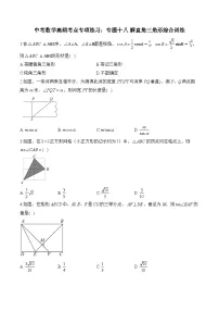 中考数学高频考点专项练习:专题18 解直角三角形综合训练 (3)及答案
