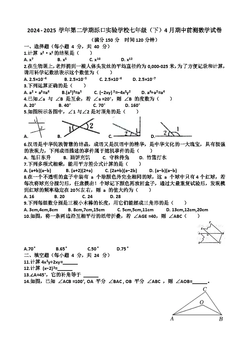 2025年济南天桥区泺口实验中学七年级下学期数学期中前测考试试卷(含答案)第1页