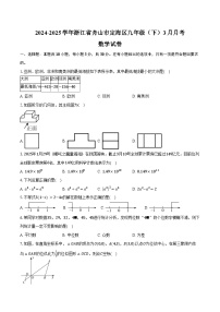2024-2025学年浙江省舟山市定海区九年级（下）3月月考数学试卷（含答案）