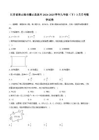 江苏省连云港市灌云县西片2024-2025学年九年级（下）3月月考数学试卷（含解析）