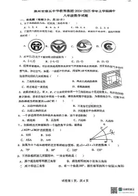 广东省惠州市惠城区第五中学教育集团2024-2025学年八年级上学期期中数学试题
