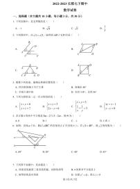 【全套精品专题】学校复习专题精讲人教版试卷练习2022-2023长郡七下期中数学试题(试卷带解析）